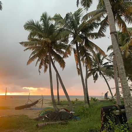 Shoreline Marari Beach Villa At Golden Beach Mararikulam Alappuzha Exterior photo