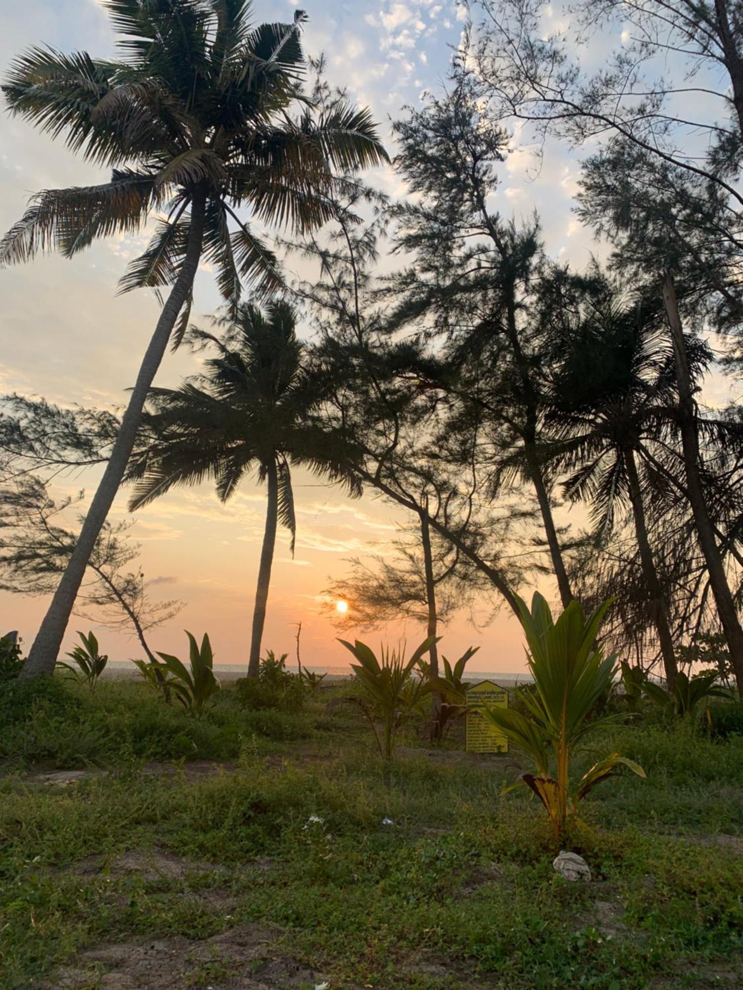Shoreline Marari Beach Villa At Golden Beach Mararikulam Alappuzha Exterior photo